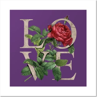 Roses & Love Romantic Stylish Gift Valentines Posters and Art